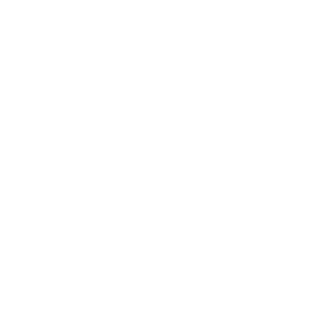 Moellenbeck-agency Icon Auto Insurance 1