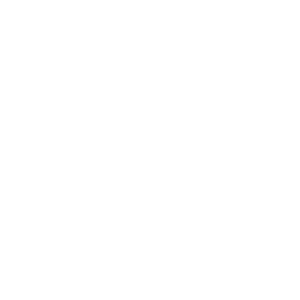 Moellenbeck-agency Icon Auto Insurance 2